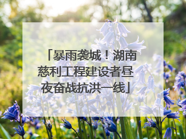 暴雨袭城！湖南慈利工程建设者昼夜奋战抗洪一线