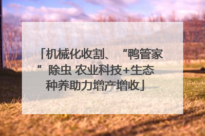 机械化收割、“鸭管家”除虫 农业科技+生态种养助力增产增收