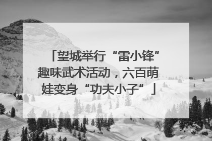 望城举行“雷小锋”趣味武术活动，六百萌娃变身“功夫小子”