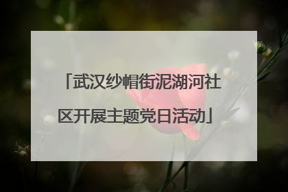 武汉纱帽街泥湖河社区开展主题党日活动
