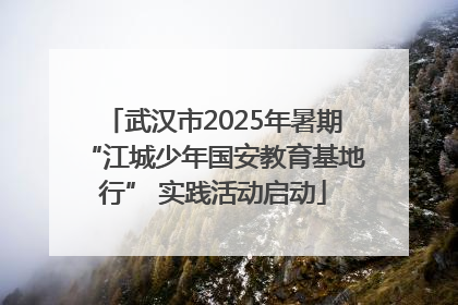 武汉市2025年暑期“江城少年国安教育基地行” 实践活动启动