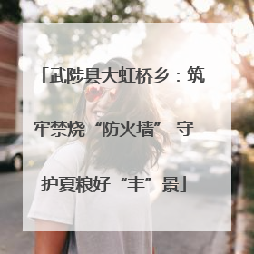 武陟县大虹桥乡：筑牢禁烧“防火墙” 守护夏粮好“丰”景