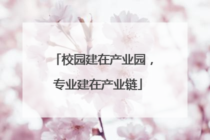 校园建在产业园，专业建在产业链