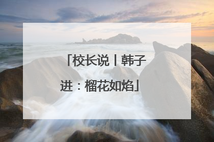 校长说丨韩子进：榴花如焰