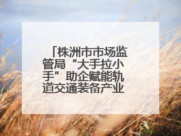 株洲市市场监管局“大手拉小手”助企赋能轨道交通装备产业链质量升级