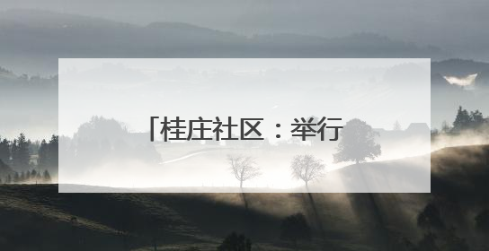 桂庄社区：举行“粽艺大舞台 银龄乐开怀”活动