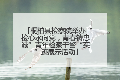 桐柏县检察院举办“检心永向党，青春铸忠诚”青年检察干警“实”迹展示活动