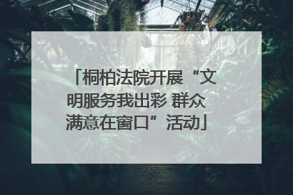 桐柏法院开展“文明服务我出彩 群众满意在窗口”活动