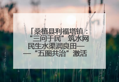 桑植县利福塔镇：“三问于民”筑水网 民生水渠润良田——“五图共治”激活基层治理新动能