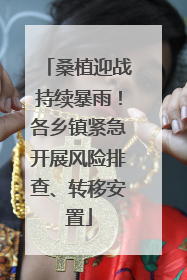 桑植迎战持续暴雨！各乡镇紧急开展风险排查、转移安置