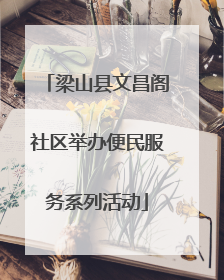 梁山县文昌阁社区举办便民服务系列活动