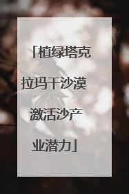 植绿塔克拉玛干沙漠 激活沙产业潜力