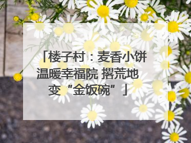 楼子村：麦香小饼温暖幸福院 撂荒地变“金饭碗”