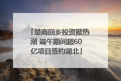 楚商回乡投资掀热潮 端午期间超60亿项目签约湖北