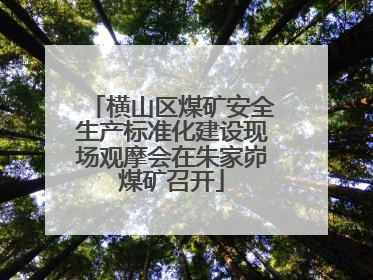 横山区煤矿安全生产标准化建设现场观摩会在朱家峁煤矿召开