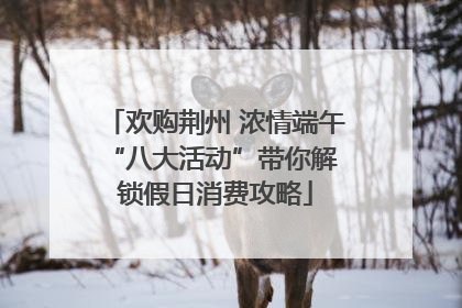 欢购荆州 浓情端午 “八大活动”带你解锁假日消费攻略