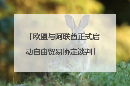 欧盟与阿联酋正式启动自由贸易协定谈判