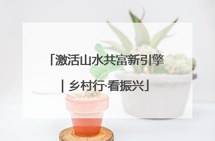 激活山水共富新引擎｜乡村行·看振兴