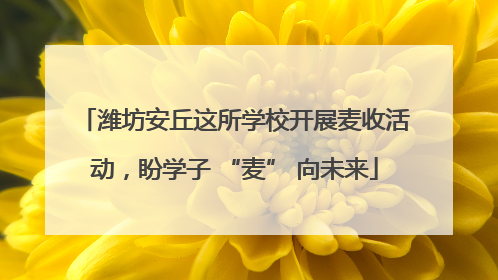 潍坊安丘这所学校开展麦收活动，盼学子 “麦” 向未来