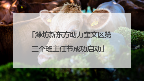 潍坊新东方助力奎文区第三个班主任节成功启动
