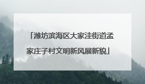 潍坊滨海区大家洼街道孟家庄子村文明新风展新貌