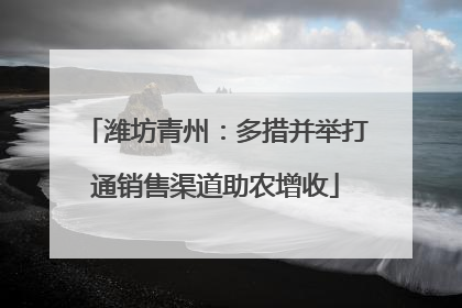 潍坊青州：多措并举打通销售渠道助农增收