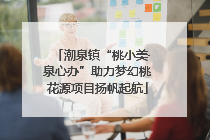 潮泉镇“桃小美·泉心办”助力梦幻桃花源项目扬帆起航