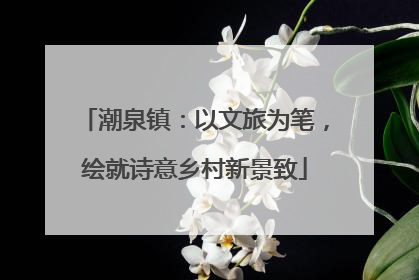 潮泉镇：以文旅为笔，绘就诗意乡村新景致