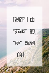 潮评丨由“苏超”的“梗”想到的