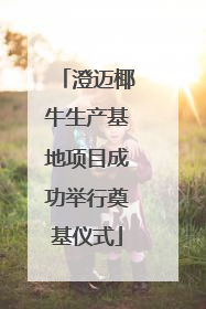 澄迈椰牛生产基地项目成功举行奠基仪式
