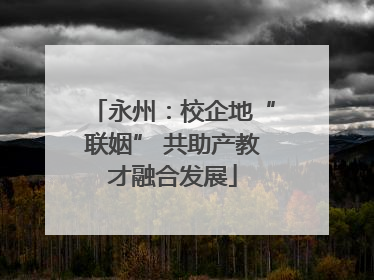 永州：校企地“联姻” 共助产教才融合发展
