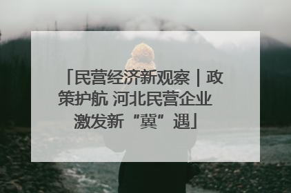 民营经济新观察｜政策护航 河北民营企业激发新“冀”遇