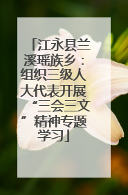江永县兰溪瑶族乡：组织三级人大代表开展“三会三文”精神专题学习