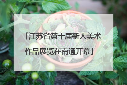 江苏省第十届新人美术作品展览在南通开幕
