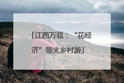 江西万载：“花经济”带火乡村游
