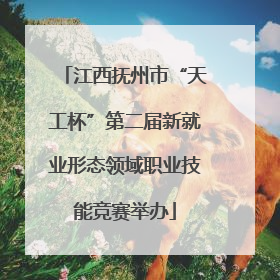 江西抚州市“天工杯”第二届新就业形态领域职业技能竞赛举办