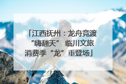 江西抚州：龙舟竞渡“嗨翻天” 临川文旅消费季“龙”重登场