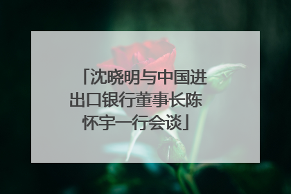 沈晓明与中国进出口银行董事长陈怀宇一行会谈