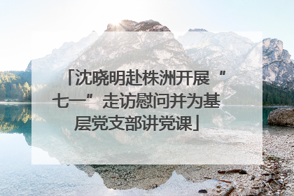 沈晓明赴株洲开展“七一”走访慰问并为基层党支部讲党课
