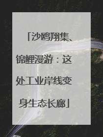 沙鸥翔集、锦鲤漫游：这处工业岸线变身生态长廊