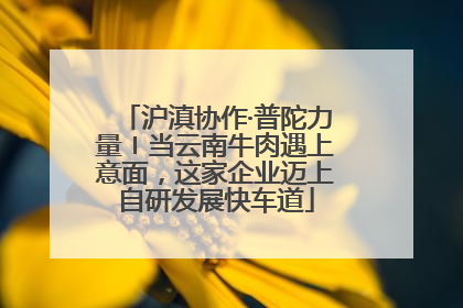 沪滇协作·普陀力量〡当云南牛肉遇上意面，这家企业迈上自研发展快车道