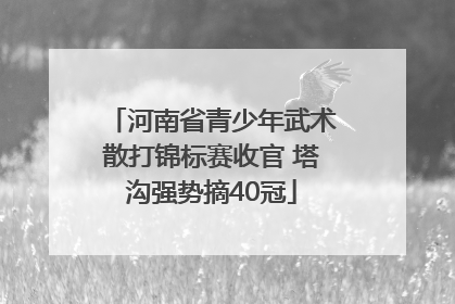 河南省青少年武术散打锦标赛收官 塔沟强势摘40冠