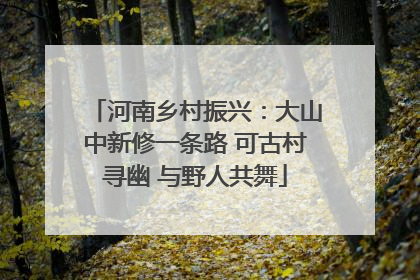 河南乡村振兴：大山中新修一条路 可古村寻幽 与野人共舞