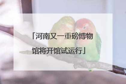 河南又一重磅博物馆将开馆试运行