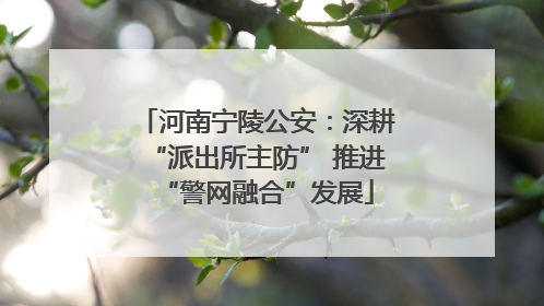 河南宁陵公安：深耕“派出所主防” 推进“警网融合”发展