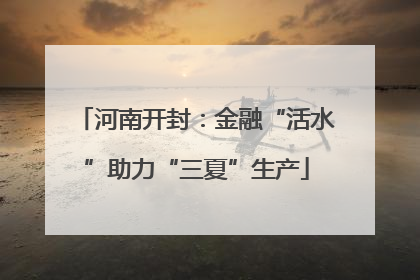 河南开封：金融“活水”助力“三夏”生产