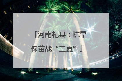 河南杞县：抗旱保苗战“三夏”