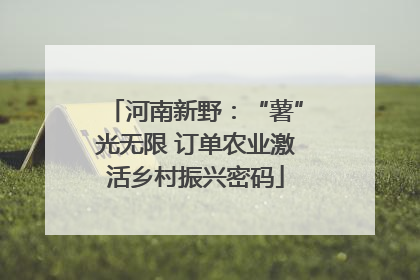 河南新野：“薯”光无限 订单农业激活乡村振兴密码
