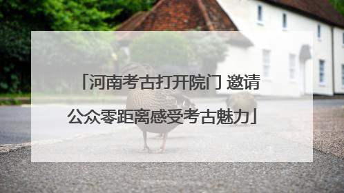 河南考古打开院门 邀请公众零距离感受考古魅力