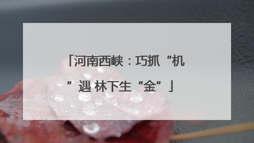 河南西峡：巧抓“机”遇 林下生“金”